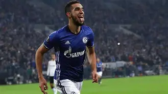 开云手机入口-沙尔克球迷