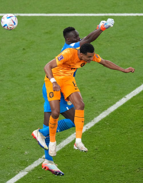 australiarulesfootball