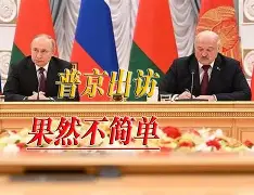 塞尔维亚背刺俄罗斯